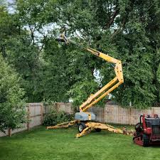 Reliable Bonita Springs, FL Tree Removal and Landscaping Services Solutions